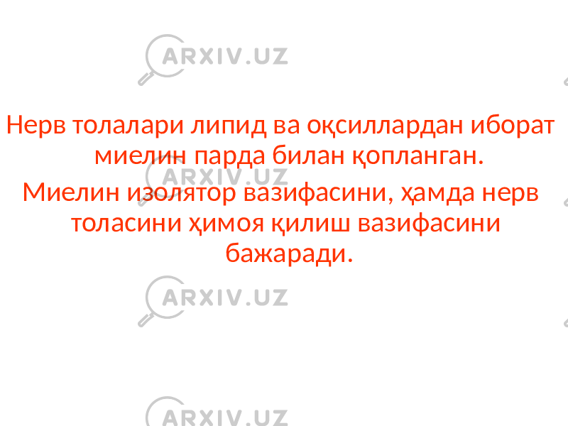 Нерв толалари липид ва оқсиллардан иборат миелин парда билан қопланган. Миелин изолятор вазифасини, ҳамда нерв толасини ҳимоя қилиш вазифасини бажаради. 