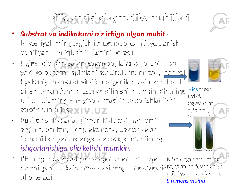 Differensial diagnostika muhitlari • Substrat va indikatorni o&#39;z ichiga olgan muhit - bakteriyalarning tegishli substratlardan foydalanish qobiliyatini aniqlash imkonini beradi. • Uglevodlar (masalan, saxaroza, laktoza, arabinoza) yoki ko&#39;p atomli spirtlar ( sorbitol , mannitol , inositol ) yakuniy mahsulot sifatida organik kislotalarni hosil qilish uchun fermentatsiya qilinishi mumkin. Shuning uchun ularning energiya almashinuvida ishlatilishi atrof-muhitning • Boshqa substratlar (limon kislotasi, karbamid, arginin, ornitin, lizin), aksincha, bakteriyalar tomonidan parchalanganda ozuqa muhitining ishqorlanishiga olib kelishi mumkin. • PH ning mos keladigan o&#39;zgarishlari muhitga qo&#39;shilgan indikator moddasi rangining o&#39;zgarishiga olib keladi. Hiss media (MPA, uglevodlar to&#39;plami, indikator) Mikroorganizmlarning sitratlardan foydalanish qobiliyatini aniqlash uchun Simmons muhiti 