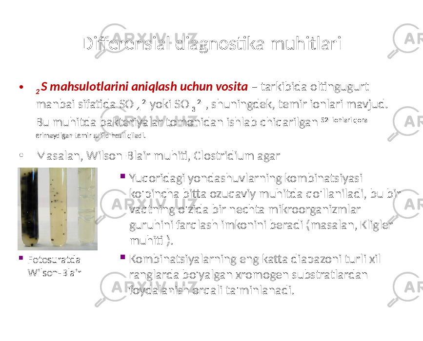 Differensial diagnostika muhitlari • 2 S mahsulotlarini aniqlash uchun vosita – tarkibida oltingugurt manbai sifatida SO 4 2- yoki SO 3 2- , shuningdek, temir ionlari mavjud. Bu muhitda bakteriyalar tomonidan ishlab chiqarilgan S2- ionlari qora erimaydigan temir sulfid hosil qiladi. • Masalan, Wilson-Blair muhiti, Clostridium agar  Fotosuratda Wilson-Blair  Yuqoridagi yondashuvlarning kombinatsiyasi ko&#39;pincha bitta ozuqaviy muhitda qo&#39;llaniladi, bu bir vaqtning o&#39;zida bir nechta mikroorganizmlar guruhini farqlash imkonini beradi (masalan, Kligler muhiti ).  Kombinatsiyalarning eng katta diapazoni turli xil ranglarda bo&#39;yalgan xromogen substratlardan foydalanish orqali ta&#39;minlanadi. 