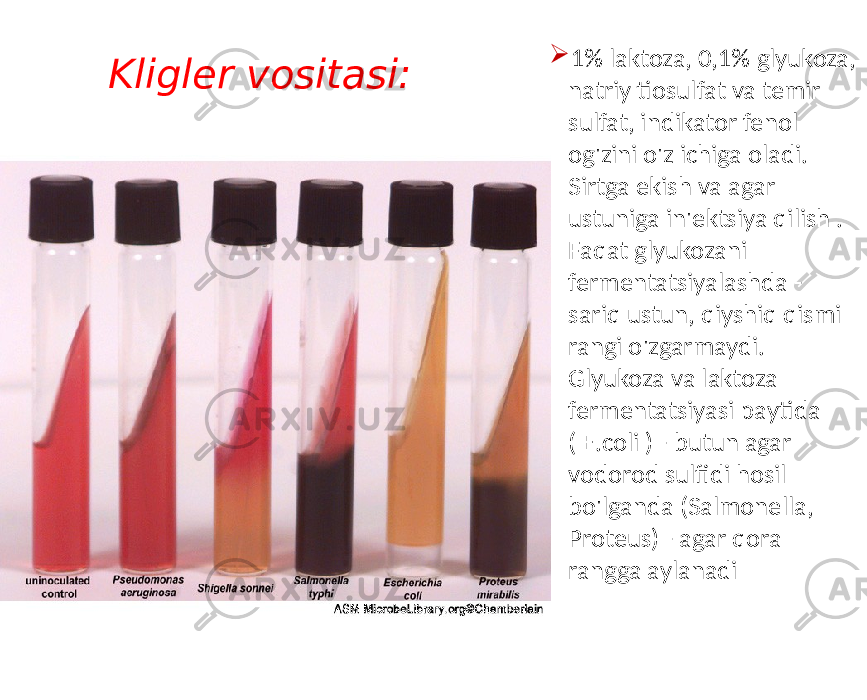  1% laktoza, 0,1% glyukoza, natriy tiosulfat va temir sulfat, indikator fenol og&#39;zini o&#39;z ichiga oladi. Sirtga ekish va agar ustuniga in&#39;ektsiya qilish . Faqat glyukozani fermentatsiyalashda - sariq ustun, qiyshiq qismi rangi o&#39;zgarmaydi. Glyukoza va laktoza fermentatsiyasi paytida ( E.coli ) - butun agar vodorod sulfidi hosil bo&#39;lganda (Salmonella, Proteus) - agar qora rangga aylanadiKligler vositasi: 