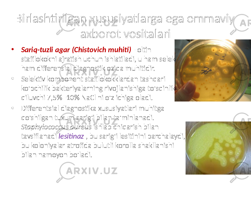 Birlashtirilgan xususiyatlarga ega ommaviy axborot vositalari • Sariq-tuzli agar (Chistovich muhiti) - oltin stafilokokni ajratish uchun ishlatiladi, u ham selektiv, ham differensial diagnostik oziqa muhitidir. • Selektiv komponent stafilokokklardan tashqari ko&#39;pchilik bakteriyalarning rivojlanishiga to&#39;sqinlik qiluvchi 7,5% -10% NaCl ni o&#39;z ichiga oladi. • Differentsial diagnostika xususiyatlari muhitga qo&#39;shilgan tuxum sarig&#39;i bilan ta&#39;minlanadi. Staphylococcus aureus ishlab chiqarish bilan tavsiflanadi lesitinaz , bu sarig&#39;i lesitinini parchalaydi, bu koloniyalar atrofida bulutli korolla shakllanishi bilan namoyon bo&#39;ladi. 