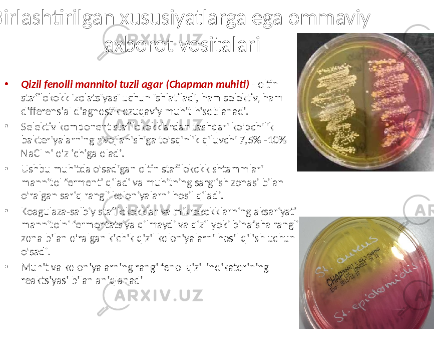  Birlashtirilgan xususiyatlarga ega ommaviy axborot vositalari • Qizil fenolli mannitol tuzli agar (Chapman muhiti) - oltin stafilokokk izolatsiyasi uchun ishlatiladi, ham selektiv, ham differensial diagnostik ozuqaviy muhit hisoblanadi. • Selektiv komponent stafilokokklardan tashqari ko&#39;pchilik bakteriyalarning rivojlanishiga to&#39;sqinlik qiluvchi 7,5% -10% NaCl ni o&#39;z ichiga oladi. • Ushbu muhitda o&#39;sadigan oltin stafilokokk shtammlari mannitol fermenti qiladi va muhitning sarg&#39;ish zonasi bilan o&#39;ralgan sariq rangli koloniyalarni hosil qiladi. • Koagulaza-salbiy stafilokokklar va mikrokokklarning aksariyati mannitolni fermentatsiya qilmaydi va qizil yoki binafsha rangli zona bilan o&#39;ralgan kichik qizil koloniyalarni hosil qilish uchun o&#39;sadi. • Muhit va koloniyalarning rangi fenol qizil indikatorining reaktsiyasi bilan aniqlanadi 