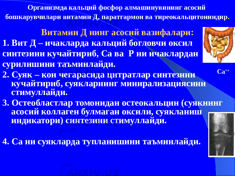 Организмда кальций фосфор алмашинувининг асосий бошкарувчилари витамин Д, паратгармон ва тиреокальцитониндир . Витамин Д нинг асосий вазифалари: 1. Вит Д – ичакларда кальций богловчи оксил синтезини кучайтириб, Са ва Р ни ичаклардан сурилишини таъминлайди. 2. Суяк – кон чегарасида цитратлар синтезини кучайтириб, суякларнинг минирализациясини стимуллайди. 3. Остеобластлар томонидан остеокальцин (суякнинг асосий коллаген булмаган оксили, суякланиш индикатори) синтезини стимуллайди. 4. Са ни суякларда тупланишини таъминлайди. Са ++ 