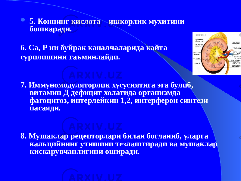  5. Коннинг кислота – ишкорлик мухитини бошкаради. 6. Са, Р ни буйрак каналчаларида кайта сурилишини таъминлайди. 7. Иммуномодуляторлик хусусиятига эга булиб, витамин Д дефицит холатида организмда фагоцитоз, интерлейкин 1,2, интерферон синтези пасаяди. 8. Мушаклар рецепторлари билан богланиб, уларга кальцийнинг утишини тезлаштиради ва мушаклар кискарувчанлигини оширади. 