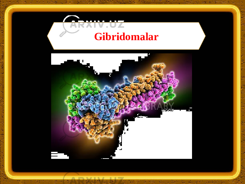 Gibridomalar 