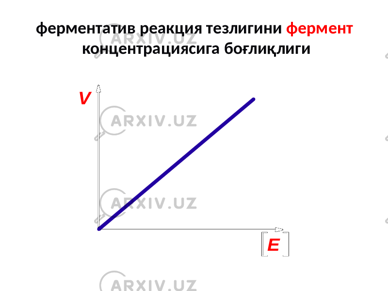 ферментатив реакция тезлигини фермент концентрациясига боғлиқлигиV E 