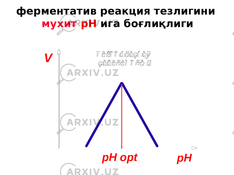 ферментатив реакция тезлигини мухит рН ига боғлиқлиги VpH pH opt ï èêî î á ðàçí àÿ çàâèñèì î ñò ü 