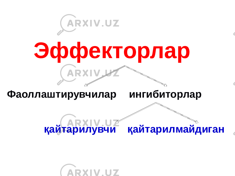 Эффекторлар Фаоллаштирувчилар ингибиторлар қайтарилувчи қайтарилмайдиган 