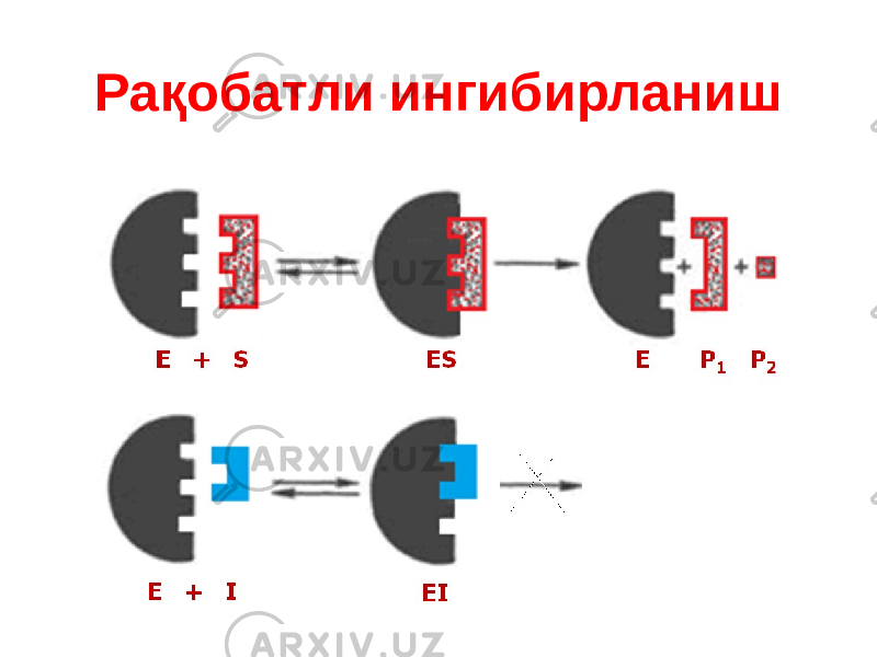 Рақобатли ингибирланиш 