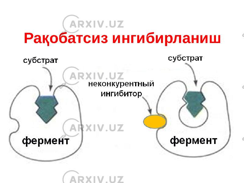 Рақобатсиз ингибирланиш 