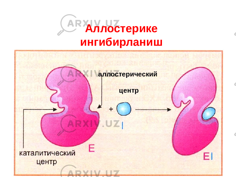 Аллостерике ингибирланиш аллостерический центр 