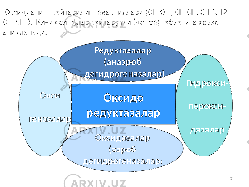 31Оксидо редуктазалар Редуктазалар (анаэроб дегидрогеназалар) Окси геназалар Оксидазалар (аэроб дегидрогеназалар ) Гидрокси- перокси- дазалар Оксидланиш-қайтарилиш реакциялари (СН-ОН, СН-СН, СН-NH2, CH-NH-). Кичик синфлар қайтарувчи (донор) табиатига қараб аниқланади. 