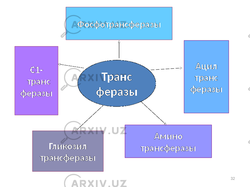 32Транс феразыФосфотрансферазы Ацил транс феразы Амино трансферазыС1- транс феразы Гликозил трансферазы 