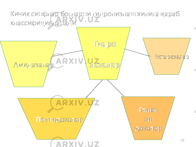 33Гидро лазалар Глико зи дазаларПептидазаларАмидазаларКичик синфлар боғларни гидролизлаш хилига қараб классифицияланади Эстеразалар 