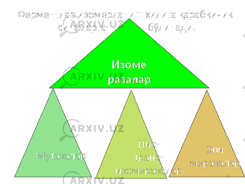 34Изоме разалар Эпи меразаларЦис- транс- изомеразаларМутазаларФерментлар изомерланиш хилига қарабкичик синфларга бўлинади. 