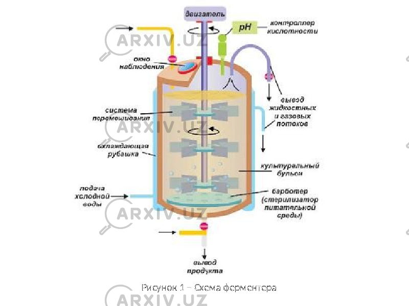 Рисунок 1 – Схема ферментера 