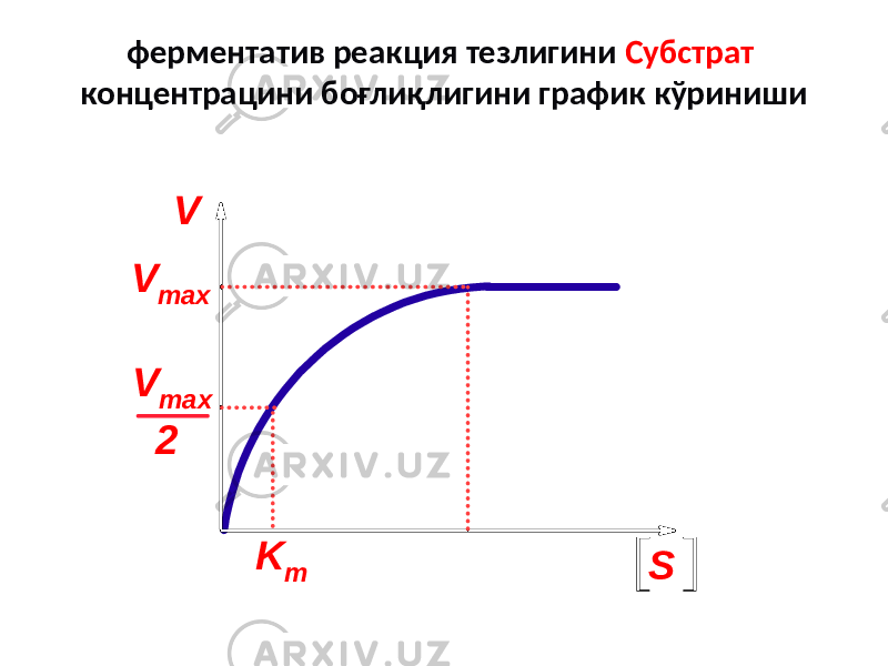 ферментатив реакция тезлигини Субстрат концентрацини боғлиқлигини график кўринишиV V max V max 2 S K m 