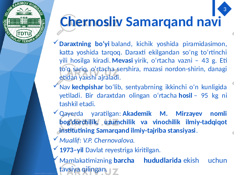 Chernosliv Samarqand navi  Daraxtning bo‘yi baland, kichik yoshida piramidasimon, katta yoshida tarqoq. Daraxti ekilgandan so‘ng to‘rtinchi yili hosilga kiradi. Mevasi yirik, o‘rtacha vazni – 43 g. Eti to‘q sariq, o‘rtacha sershira, mazasi nordon-shirin, danagi etidan yaxshi ajraladi.  Nav kechpishar bo‘lib, sentyabrning ikkinchi o‘n kunligida yetiladi. Bir daraxtdan olingan o‘rtacha hosil – 95 kg ni tashkil etadi.  Qayerda yaratilgan: Akademik M. Mirzayev nomli bog‘dorchilik, uzumchilik va vinochilik ilmiy-tadqiqot institutining Samarqand ilmiy-tajriba stansiyasi .  Muallif: V.P.  Chernovalova.  1973–yil Davlat reyestriga kiritilgan.  Mamlakatimizning barcha hududlarida ekish uchun tavsiya qilingan. 3 