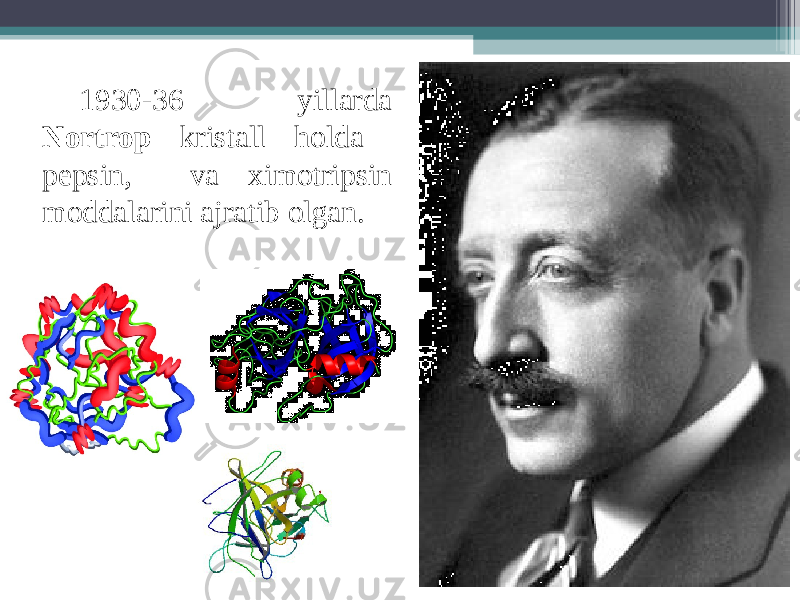 1930-36 yillarda Nortrop kristall holda pepsin, va х imotripsin moddalarini ajratib olgan. 