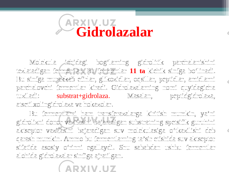 Gidrolazalar M olekula ichidagi bog ‘ larning gidrolitik parchalanishini tezlatadigan fermentlar. Bu fermentlar 11 ta kichik sinfga bo ‘ linadi. Bu sinfga murakkab efirlar, glikozidlar, oqsillar, peptidlar, amidlarni parchalovchi fermentlar kiradi. Gidrolazalarning nomi quyidagicha tuziladi: substrat+gidrolaza. Masalan, peptidgidrolaza, atsetilxolingidrolaza va hokazolar. Bu fermentlarni ham transferazalarga kiritish mumkin, ya’ni gidrolizni donor vazifasini bajaradigan substratning spetsifik guruhini aktseptor vazifasini bajaradigan suv molekulasiga o ‘ tkazilishi deb qarash mumkin. Ammo bu fermentlarning ta’sir etishida suv aktseptor sifatida asosiy o ‘ rinni egallaydi . S hu sababdan ushbu fermentlar alohida gidrolazalar sinfiga ajratilgan. 