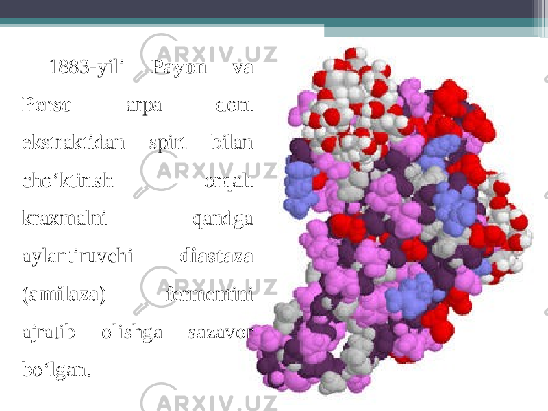 1883-yili Payon va Perso arpa doni ekstraktidan spirt bilan cho‘ktirish orqali kra х malni qandga aylantiruvchi diastaza (amilaza) fermentini ajratib olishga sazavor bo‘lgan. 