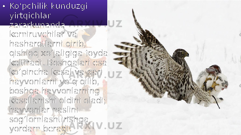 • Ko‘pchilik kunduzgi yirtqichlar zararkunanda kemiruvchilar va hasharotlarni qirib, qishloq xo‘jaligiga foyda keltiradi. Boshqalari esa ko‘pincha kasal va qari hayvonlarni yo‘q qilib, boshqa hayvonlarning kasallanishi oldini oladi; hayvonlar naslini sog‘lomlashtirishga yordam beradi. 