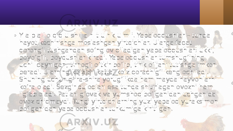 • Y a p a l o q q u sh l a r t u r k u m i. Yapaloqqushlar – tunda hayot kechirishga moslashgan yirtqichlar. Ularga faqat qorong‘i tushgandan so‘ng ov qiladigan yapaloqqushlar: ukki, boyo‘g‘li, boyqushlar kiradi. Yapaloqqushlar tumshug‘ining uchi qayrilgan, tirnog‘i o‘tkir bo‘lib, tirik o‘ljani tutishga imkon beradi. Ularning ko‘zlari katta, ko‘z qorachig‘i keng ochiladi. Shuning uchun g‘ira-shira yorug‘likda ham mayda hayvonlarni ko‘ra oladi. Sezgir quloqlari esa tunda shitirlagan ovozni ham ilg‘ab oladi. Patlari g‘ovak va yumshoq bo‘lganidan uchganida ovoz chiqmaydi. Tungi yirtqichlarning yuzi yapaloq yuraksimon bo‘lganidan yapaloqqushlar turkumiga kiritilgan. 