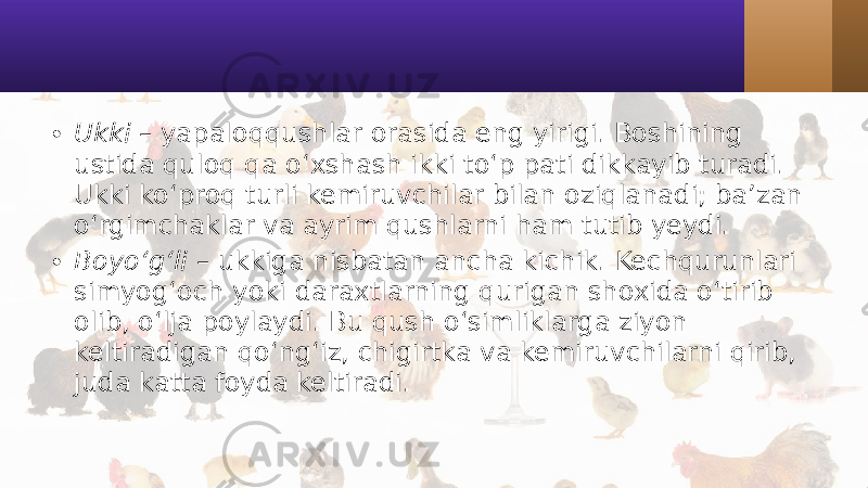 • Ukki – yapaloqqushlar orasida eng yirigi. Boshining ustida quloq qa o‘xshash ikki to‘p pati dikkayib turadi. Ukki ko‘proq turli kemiruvchilar bilan oziqlanadi; ba’zan o‘rgimchaklar va ayrim qushlarni ham tutib yeydi. • Boyo‘g‘li – ukkiga nisbatan ancha kichik. Kechqurunlari simyog‘och yoki daraxtlarning qurigan shoxida o‘tirib olib, o‘lja poylaydi. Bu qush o‘simliklarga ziyon keltiradigan qo‘ng‘iz, chigirtka va kemiruvchilarni qirib, juda katta foyda keltiradi. 