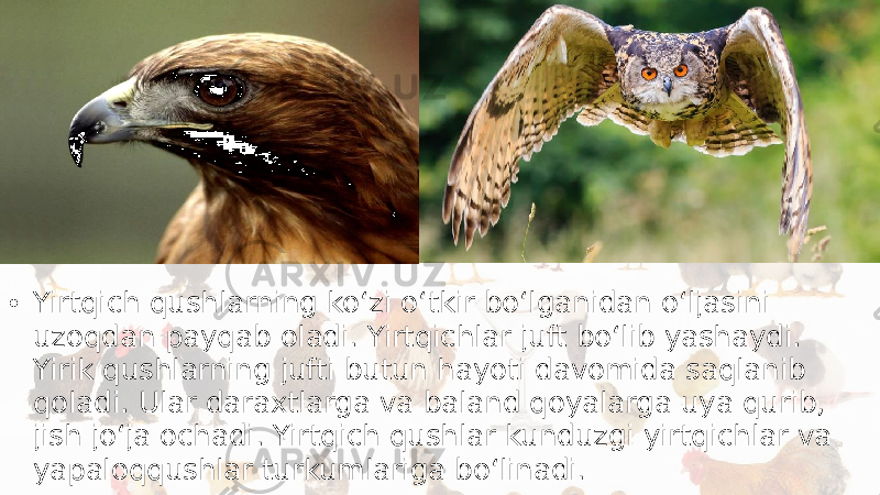 • Yirtqich qushlarning ko‘zi o‘tkir bo‘lganidan o‘ljasini uzoqdan payqab oladi. Yirtqichlar juft bo‘lib yashaydi. Yirik qushlarning jufti butun hayoti davomida saqlanib qoladi. Ular daraxtlarga va baland qoyalarga uya qurib, jish jo‘ja ochadi. Yirtqich qushlar kunduzgi yirtqichlar va yapaloqqushlar turkumlariga bo‘linadi. 