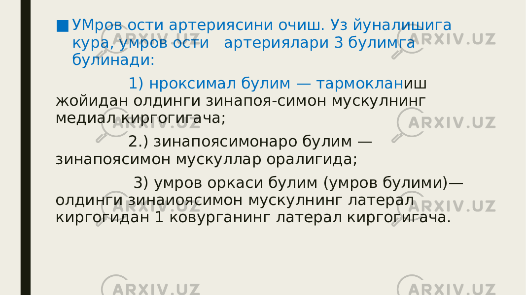 ■ УМров ости артериясини очиш. Уз йуналишига кура, умров ости артериялари 3 булимга булинади: 1) нроксимал булим — тармоклан иш жойидан олдинги зинапоя-симон мускулнинг медиал киргогигача; 2.) зинапоясимонаро булим — зинапоясимон мускуллар оралигида; 3) умров оркаси булим (умров булими)— олдинги зинаиоясимон мускулнинг латерал киргогидан 1 ковурганинг латерал киргогигача. 