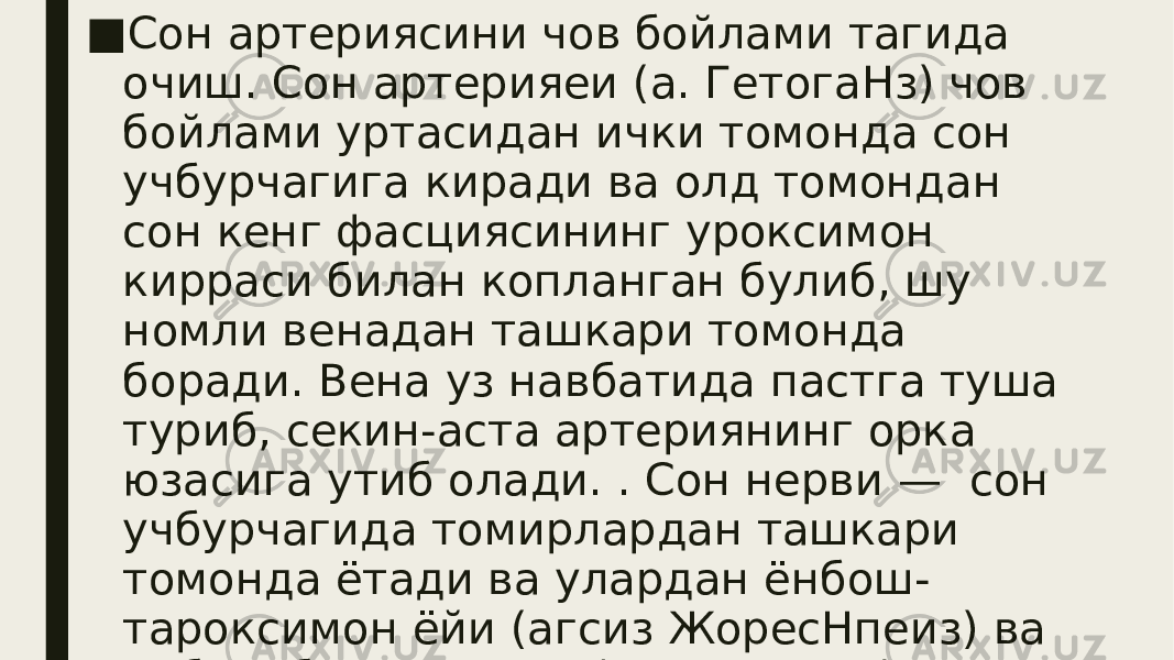 ■ Сон артериясини чов бойлами тагида очиш. Сон артерияеи (а. ГетогаНз) чов бойлами уртасидан ички томонда сон учбурчагига киради ва олд томондан сон кенг фасциясининг уроксимон кирраси билан копланган булиб, шу номли венадан ташкари томонда боради. Вена уз навбатида пастга туша туриб, секин-аста артериянинг орка юзасига утиб олади. . Сон нерви — сон учбурчагида томирлардан ташкари томонда ётади ва улардан ёнбош- тароксимон ёйи (агсиз ЖоресНпеиз) ва ёнбош-бел мускули (т . Шорзоаз) нинг фасцияси билан ажралиб туради. 