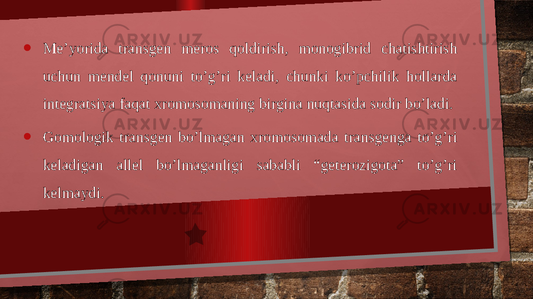 • Me’yorida transgen meros qoldirish, monogibrid chatishtirish uchun mendel qonuni to’g’ri keladi, chunki ko’pchilik hollarda integratsiya faqat xromosomaning birgina nuqtasida sodir bo’ladi. • Gomologik transgen bo’lmagan xromosomada transgenga to’g’ri keladigan allel bo’lmaganligi sababli “geterozigota” to’g’ri kelmaydi. 