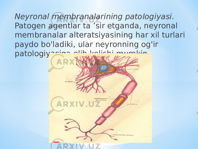 Neyronal membranalarining patologiyasi . Patogen agentlar ta ’sir etganda, neyronal membranalar alteratsiyasining har xil turlari paydo bo&#39;ladiki, ular neyronning og&#39;ir patologiyasiga olib kelishi mumkin. 