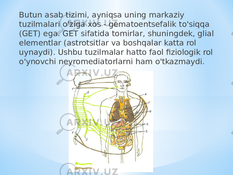 Butun asab tizimi, ayniqsa uning markaziy tuzilmalari o&#39;ziga xos - gematoentsefalik to&#39;siqqa (GET) ega. GET sifatida tomirlar, shuningdek, glial elementlar (astrotsitlar va boshqalar katta rol uynaydi). Ushbu tuzilmalar hatto faol fiziologik rol o&#39;ynovchi neyromediatorlarni ham o&#39;tkazmaydi. 