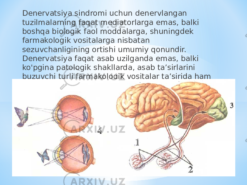 Denervatsiya sindromi uchun denervlangan tuzilmalarning faqat mediatorlarga emas, balki boshqa biologik faol moddalarga, shuningdek farmakologik vositalarga nisbatan sezuvchanligining ortishi umumiy qonundir. Denervatsiya faqat asab uzilganda emas, balki ko&#39;pgina patologik shakllarda, asab ta’sirlarini buzuvchi turli farmakologik vositalar ta’sirida ham kuzatiladi. 