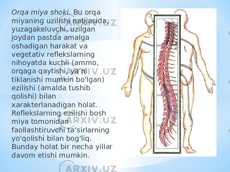 Orqa miya shoki . Bu orqa miyaning uzilishi natijasida, yuzagakeluvchi, uzilgan joydan pastda amalga oshadigan harakat va vegetativ reflekslarning nihoyatda kuchli (ammo, orqaga qaytishi, ya’ni tiklanishi mumkin bo&#39;lgan) ezilishi (amalda tushib qolishi) bilan xarakterlanadigan holat. Reflekslarning ezilishi bosh miya tomonidan faollashtiruvchi ta’sirlarning yo&#39;qolishi bilan bog&#39;liq. Bunday holat bir necha yillar davom etishi mumkin. 