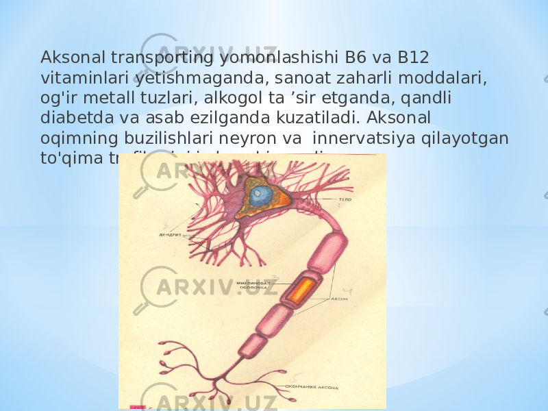 Aksonal transporting yomonlashishi B6 va B12 vitaminlari yetishmaganda, sanoat zaharli moddalari, og&#39;ir metall tuzlari, alkogol ta ’sir etganda, qandli diabetda va asab ezilganda kuzatiladi. Aksonal oqimning buzilishlari neyron va innervatsiya qilayotgan to&#39;qima trofikasini izdan chiqaradi. 