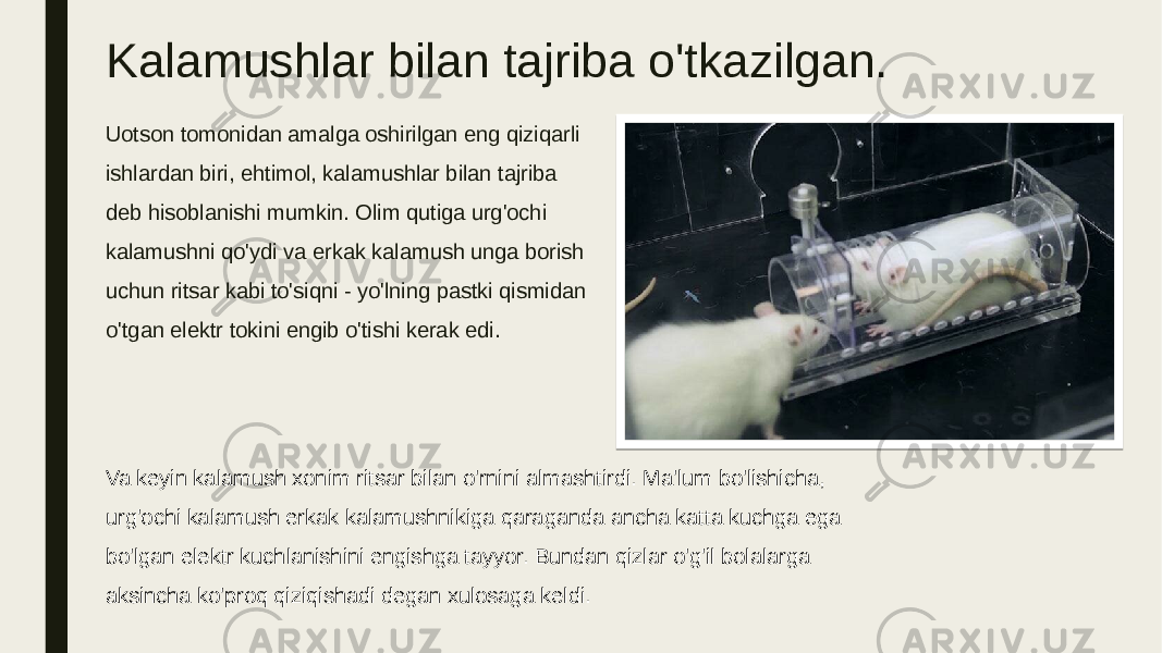 Kalamushlar bilan tajriba o&#39;tkazilgan. Uotson tomonidan amalga oshirilgan eng qiziqarli ishlardan biri, ehtimol, kalamushlar bilan tajriba deb hisoblanishi mumkin. Olim qutiga urg&#39;ochi kalamushni qo&#39;ydi va erkak kalamush unga borish uchun ritsar kabi to&#39;siqni - yo&#39;lning pastki qismidan o&#39;tgan elektr tokini engib o&#39;tishi kerak edi. Va keyin kalamush xonim ritsar bilan o&#39;rnini almashtirdi. Ma&#39;lum bo&#39;lishicha, urg&#39;ochi kalamush erkak kalamushnikiga qaraganda ancha katta kuchga ega bo&#39;lgan elektr kuchlanishini engishga tayyor. Bundan qizlar o&#39;g&#39;il bolalarga aksincha ko&#39;proq qiziqishadi degan xulosaga keldi. 