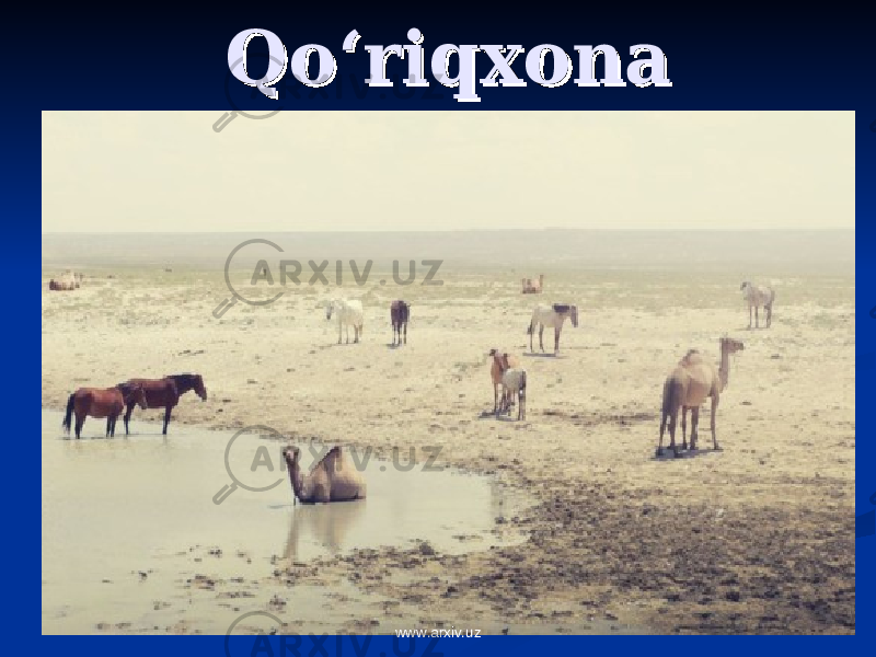 Qo‘riqxonaQo‘riqxona www.arxiv.uz 