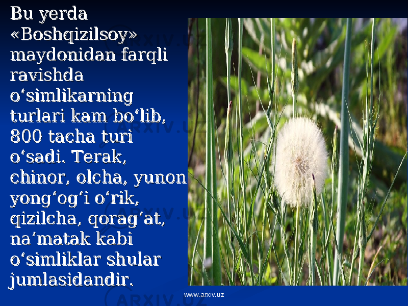 Bu yerda Bu yerda «Boshqizilsoy» «Boshqizilsoy» maydonidan farqli maydonidan farqli ravishda ravishda o‘simlikarning o‘simlikarning turlari kam bo‘lib, turlari kam bo‘lib, 800 tacha turi 800 tacha turi o‘sadi. Terak, o‘sadi. Terak, chinor, olcha, yunon chinor, olcha, yunon yong‘og‘i o‘rik, yong‘og‘i o‘rik, qizilcha, qorag‘at, qizilcha, qorag‘at, na’matak kabi na’matak kabi o‘simliklar shular o‘simliklar shular jumlasidandir.jumlasidandir. www.arxiv.uz 