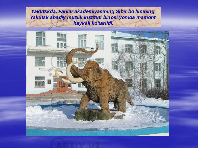 Yakutskda, Fanlar akademiyasining Sibir bo&#39;limining Yakutsk abadiy muzlik instituti binosi yonida mamont haykali ko&#39;tarildi. 