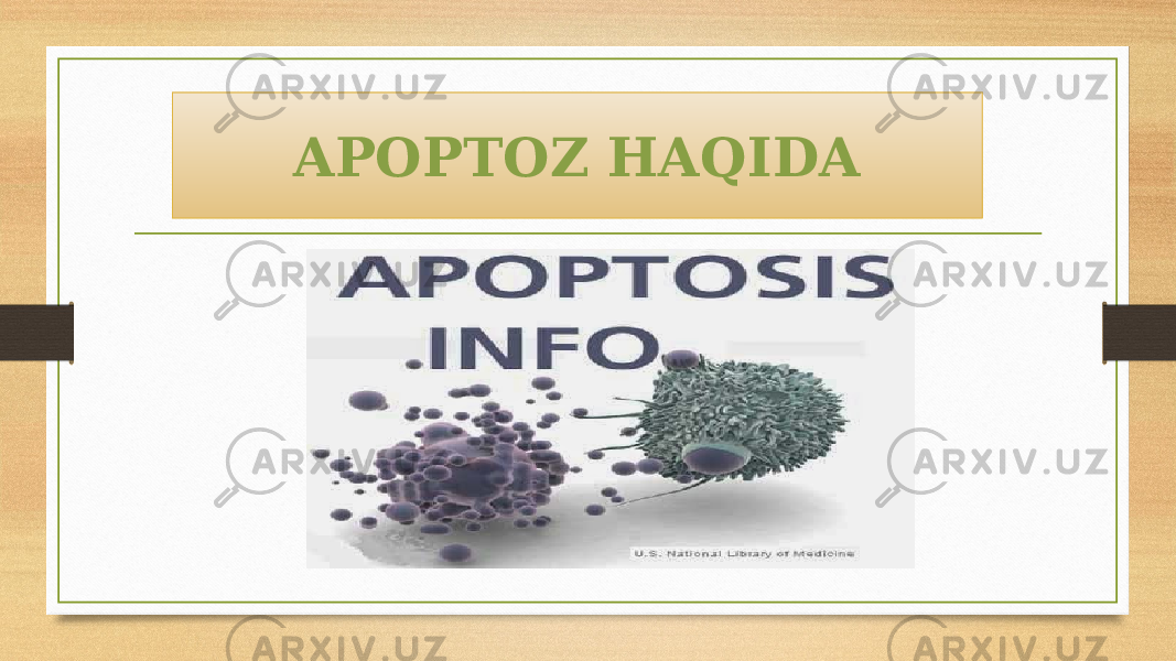 APOPTOZ HAQIDA 