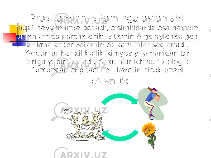 Provitaminni vitaminga aylanishi faqat hayvonlarda bo’ladi, o’simliklarda esa hayvon organizmida parchalanib, vitamin A ga aylanadigan birikmalar (provitamin A) karotinlar saqlanadi. Karotinlar har xil bo’lib kimyoviy tomonidan bir- biriga yaqin bo’ladi. Karotinlar ichida fiziologik tomondan eng faolli b - karotin hisoblanadi (A va D) 
