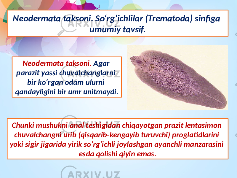 Neodermata taksoni. Sо‘rg‘ichlilar (Trematoda) sinfiga umumiy tavsif. Neodermata taksoni. Agar parazit yassi chuvalchanglarni bir kо‘rgan odam ulurni qandayligini bir umr unitmaydi. Chunki mushukni anal teshigidan chiqayotgan prazit lentasimon chuvalchangni urib (qisqarib-kengayib turuvchi) proglatidlarini yoki sigir jigarida yirik sо‘rg‘ichli joylashgan ayanchli manzarasini esda qolishi qiyin emas. 