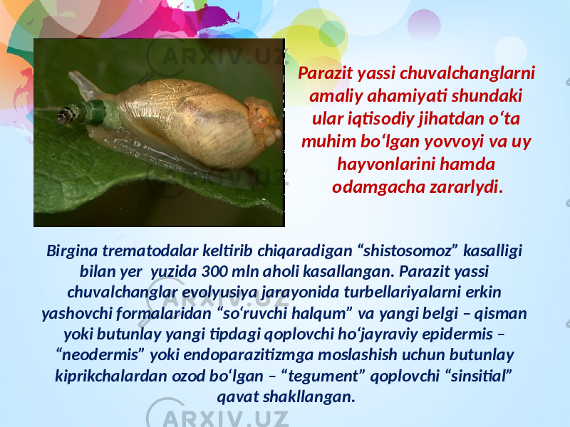 Parazit yassi chuvalchanglarni amaliy ahamiyati shundaki ular iqtisodiy jihatdan о‘ta muhim bо‘lgan yovvoyi va uy hayvonlarini hamda odamgacha zararlydi. Birgina trematodalar keltirib chiqaradigan “shistosomoz” kasalligi bilan yer yuzida 300 mln aholi kasallangan. Parazit yassi chuvalchanglar evolyusiya jarayonida turbellariyalarni erkin yashovchi formalaridan “sо‘ruvchi halqum” va yangi belgi – qisman yoki butunlay yangi tipdagi qoplovchi hо‘jayraviy epidermis – “neodermis” yoki endoparazitizmga moslashish uchun butunlay kiprikchalardan ozod bо‘lgan – “tegument” qoplovchi “sinsitial” qavat shakllangan. 