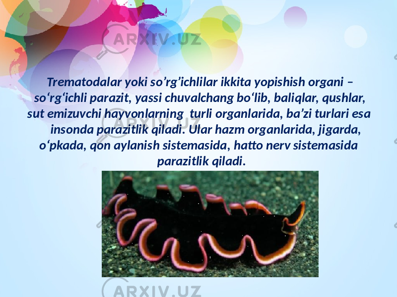 Trematodalar yoki so’rg’ichlilar ikkita yopishish organi – so‘rg‘ichli parazit, yassi chuvalchang bo‘lib, baliqlar, qushlar, sut emizuvchi hayvonlarning turli organlarida, ba’zi turlari esa insonda parazitlik qiladi. Ular hazm organlarida, jigarda, o‘pkada, qon aylanish sistemasida, hatto nerv sistemasida parazitlik qiladi. 