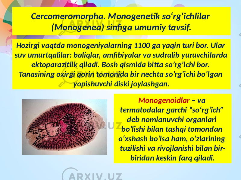 Cercomeromorpha. Monogenetik sо‘rg‘ichlilar (Monogenea) sinfiga umumiy tavsif. Hozirgi vaqtda monogeniyalarning 1100 ga yaqin turi bor. Ular suv umurtqalilar: baliqlar, amfibiyalar va sudralib yuruvchilarda ektoparazitlik qiladi. Bosh qismida bitta so’rg’ichi bor. Tanasining oxirgi qorin tomonida bir nechta so’rg’ichi bo’lgan yopishuvchi diski joylashgan. Monogenoidlar – va termatodalar garchi “so‘rg‘ich” deb nomlanuvchi organlari bo‘lishi bilan tashqi tomondan o‘xshash bo‘lsa ham, o‘zlarining tuzilishi va rivojlanishi bilan bir- biridan keskin farq qiladi. 