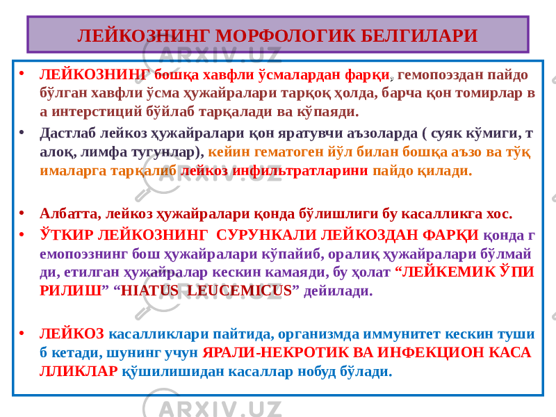 • ЛЕЙКОЗНИНГ бошқа хавфли ўсмалардан фарқи , гемопоэздан пайдо бўлган хавфли ўсма ҳужайралари тарқоқ ҳолда, барча қон томирлар в а интерстиций бўйлаб тарқалади ва кўпаяди. • Дастлаб лейкоз ҳужайралари қон яратувчи аъзоларда ( суяк кўмиги, т алоқ, лимфа тугунлар), кейин гематоген йўл билан бошқа аъзо ва тўқ ималарга тарқалиб лейкоз инфильтратларини пайдо қилади. • Албатта, лейкоз ҳужайралари қонда бўлишлиги бу касалликга хос. • ЎТКИР ЛЕЙКОЗНИНГ СУРУНКАЛИ ЛЕЙКОЗДАН ФАРҚИ қонда г емопоэзнинг бош ҳужайралари кўпайиб, оралиқ ҳужайралари бўлмай ди, етилган ҳужайралар кескин камаяди, бу ҳолат “ЛЕЙКЕМИК ЎПИ РИЛИШ ” “ HIATUS LEUCEMICUS ” дейилади. • ЛЕЙКОЗ касалликлари пайтида, организмда иммунитет кескин туши б кетади, шунинг учун ЯРАЛИ-НЕКРОТИК ВА ИНФЕКЦИОН КАСА ЛЛИКЛАР қўшилишидан касаллар нобуд бўлади.ЛЕЙКОЗНИНГ МОРФОЛОГИК БЕЛГИЛАРИ 