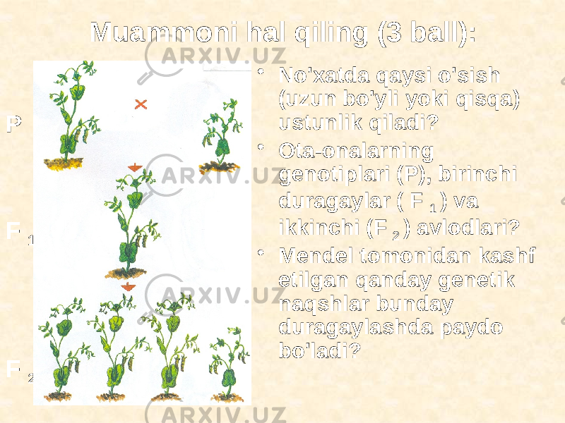 Muammoni hal qiling (3 ball): • No&#39;xatda qaysi o&#39;sish (uzun bo&#39;yli yoki qisqa) ustunlik qiladi? • Ota-onalarning genotiplari (P), birinchi duragaylar ( F 1 ) va ikkinchi (F 2 ) avlodlari? • Mendel tomonidan kashf etilgan qanday genetik naqshlar bunday duragaylashda paydo bo&#39;ladi?P F 1 F 2 