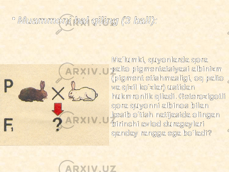 • Muammoni hal qiling (3 ball): Ma&#39;lumki, quyonlarda qora palto pigmentatsiyasi albinizm (pigment etishmasligi, oq palto va qizil ko&#39;zlar) ustidan hukmronlik qiladi. Geterozigotli qora quyonni albinos bilan kesib o&#39;tish natijasida olingan birinchi avlod duragaylari qanday rangga ega bo&#39;ladi? 